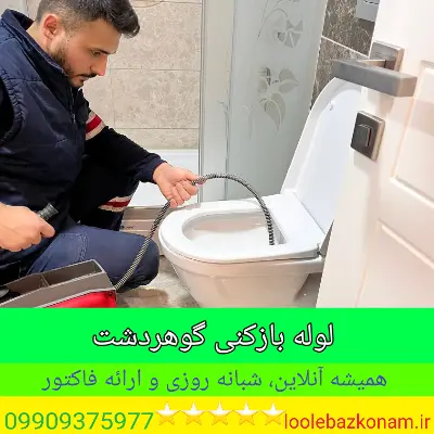 لوله بازکنی گوهردشت