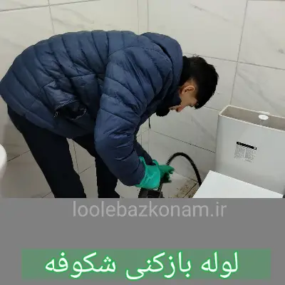 لوله بازکنی شکوفه