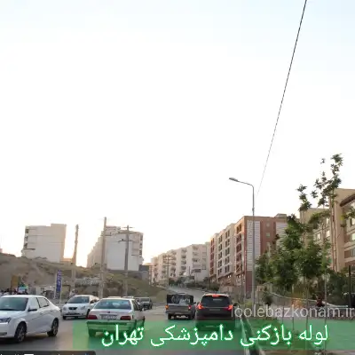 لوله بازکنی دامپزشکی تهران