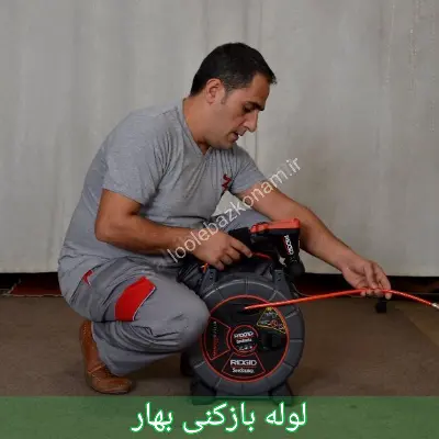 لوله بازکنی بهار