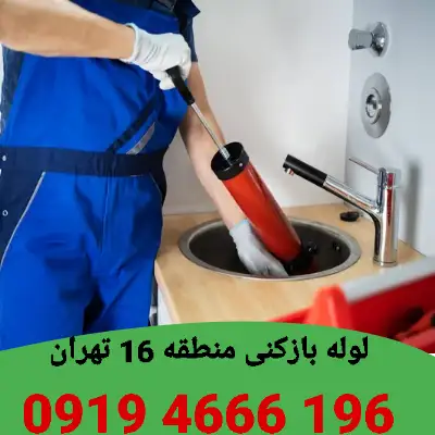 لوله بازکنی منطقه 16 3 لوله بازکنی منطقه 16